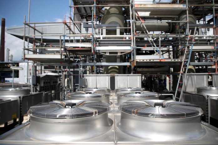 33835422.jpg