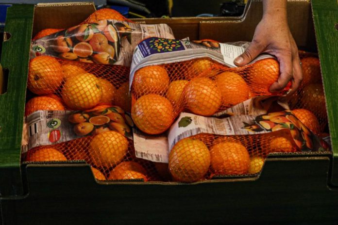 33879333.jpg