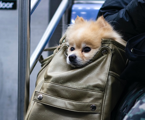 FOTO: UNSPLASH FOTO: UNSPLASH