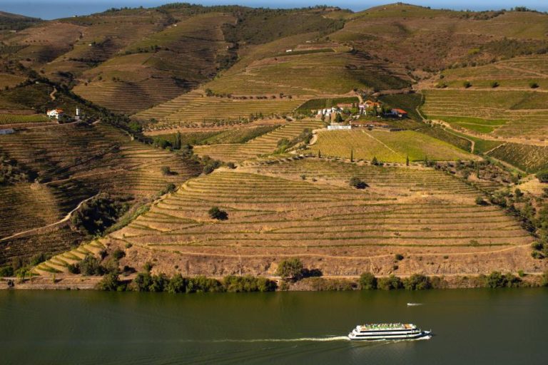 Projeto G.O.T.A. sensibiliza viticultores do Douro para gestão eficiente da água