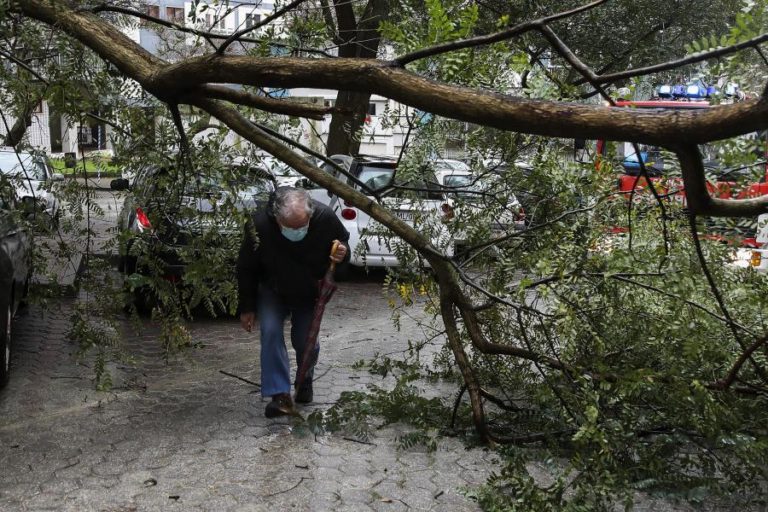 Mau tempo: Registadas 295 ocorrências no continente até às 10:00