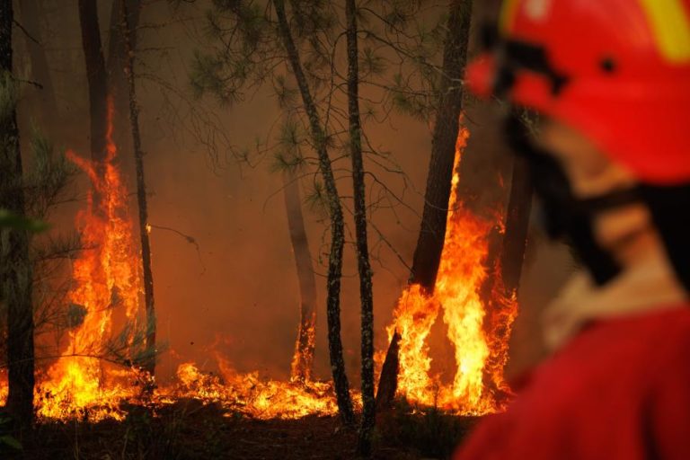 Incêndios: GNR deteve 72 pessoas este ano, o valor mais elevado dos últimos cinco anos