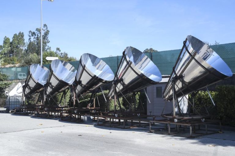 Tecnologia para tratar efluentes da produção de azeite desenvolvida em Tondela