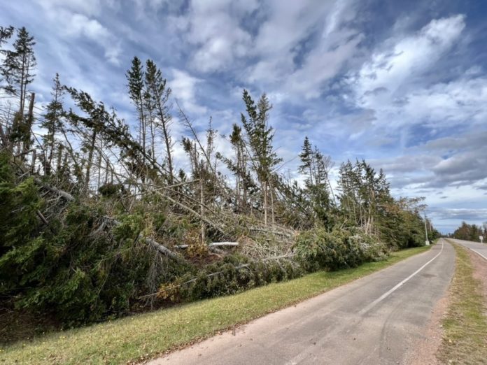 FOTO: BILL HOWE TWITTER