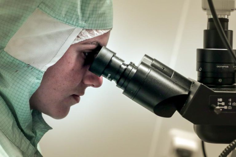 Portugal assinala hoje Dia Mundial da Ciência com programas de apoio a investigadores