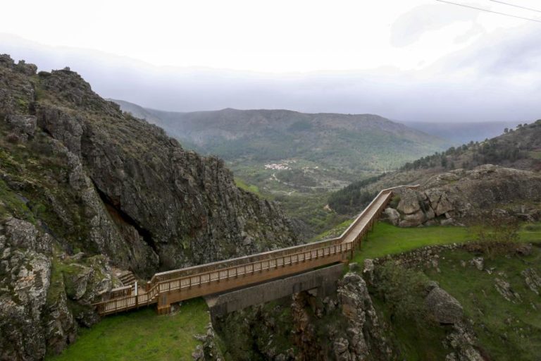 Passadiços do Mondego na Guarda com seis mil visitantes nos primeiros sete dias