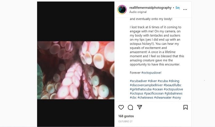 FOTO: SCREENSHOT reallifemermaidphotography INSTAGRAM FOTO: SCREENSHOT reallifemermaidphotography INSTAGRAM