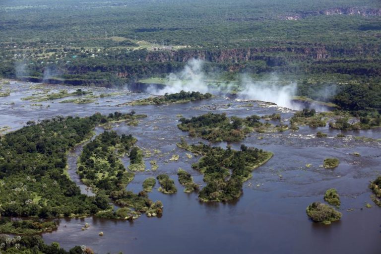 Organização recolhe seis milhões de sementes para restaurar florestas autóctones do Zimbabué