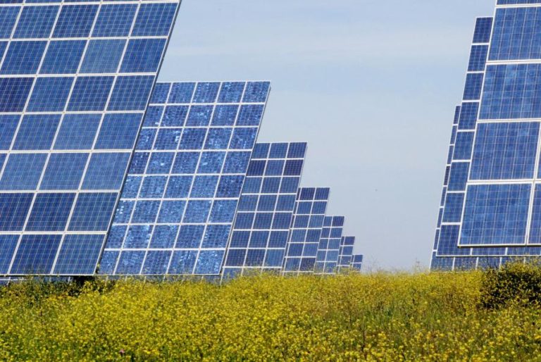 EDP Renováveis assegura contrato de 15 anos para venda de energia limpa nos EUA