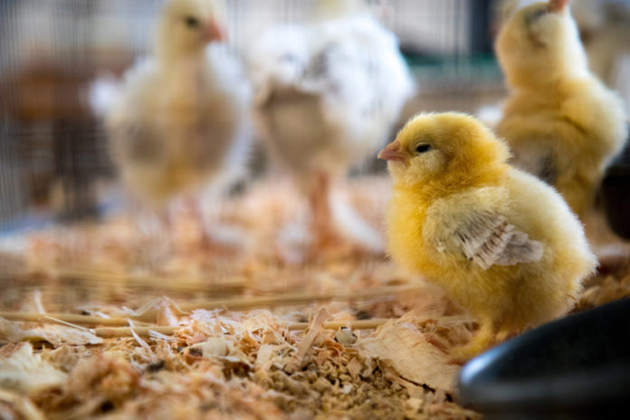 Foto: Jason Leung/Unsplash Foto: Jason Leung/Unsplash