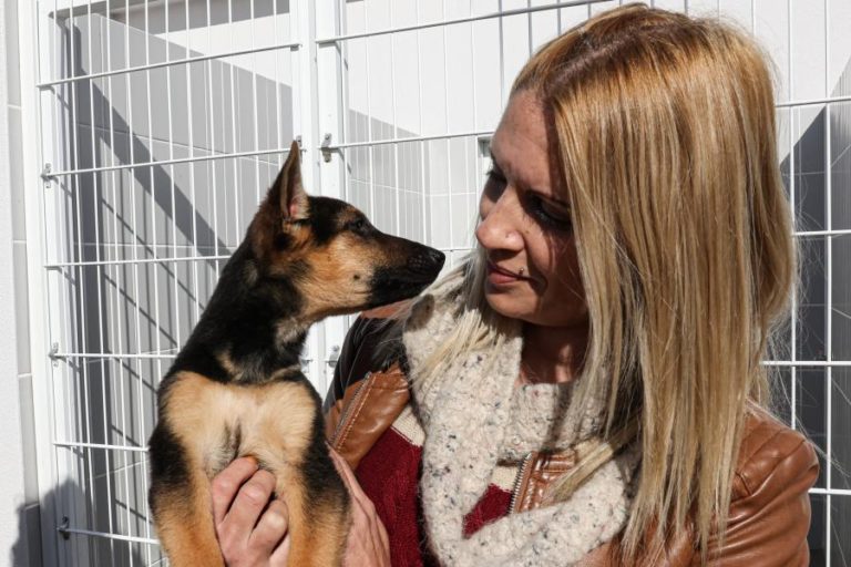 Faro abre centro de recolha com capacidade para 170 animais
