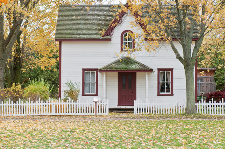 Foto: Scott Webb/Unsplash