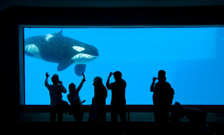 FOTO: GIZMODO