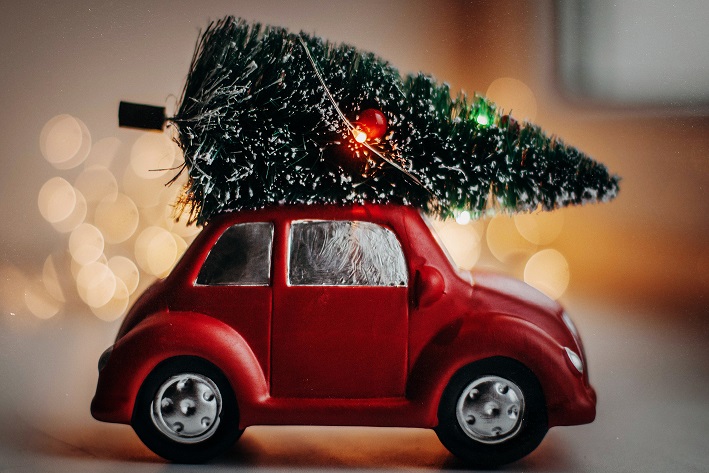 Árvore de Natal: Como se desfazer da árvore de forma sustentável - Correio da Manhã Canadá Árvore de Natal: Como se desfazer da árvore de forma sustentável - Correio da Manhã Canadá
