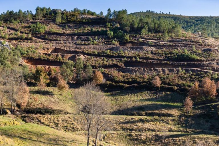 APA diz que empresa tem 6 meses para reformular projeto da mina de lítio em Montalegre