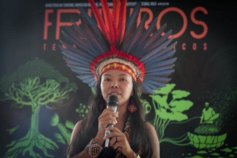 Desflorestação na Amazónia brasileira cai 61,3% no primeiro mês de Lula da Silva