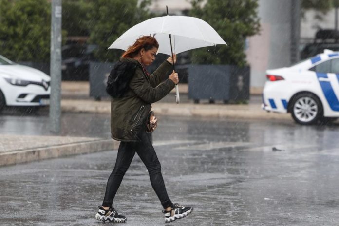 39998262.jpg