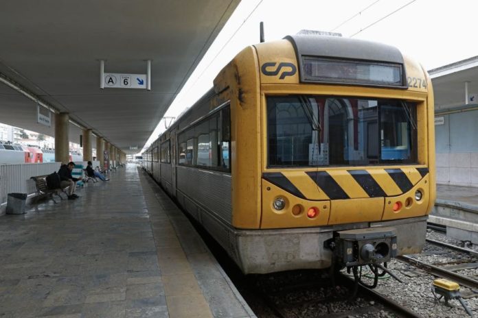 40268656.JPG