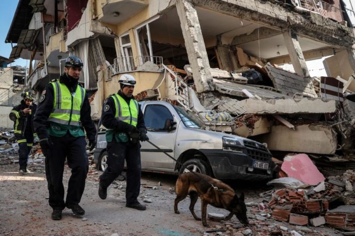 40288484.jpg