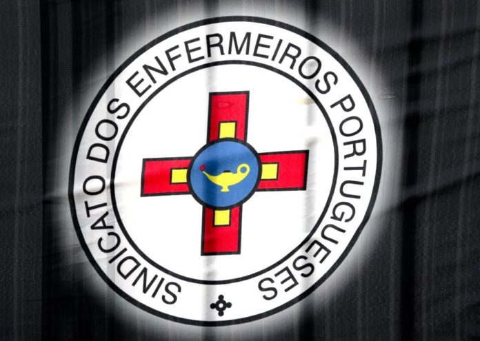 16717853.JPG