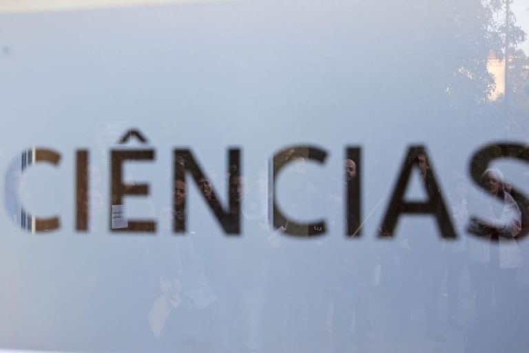 Investigadores usam resíduos marinhos para desenvolver baterias “amigas” do ambiente