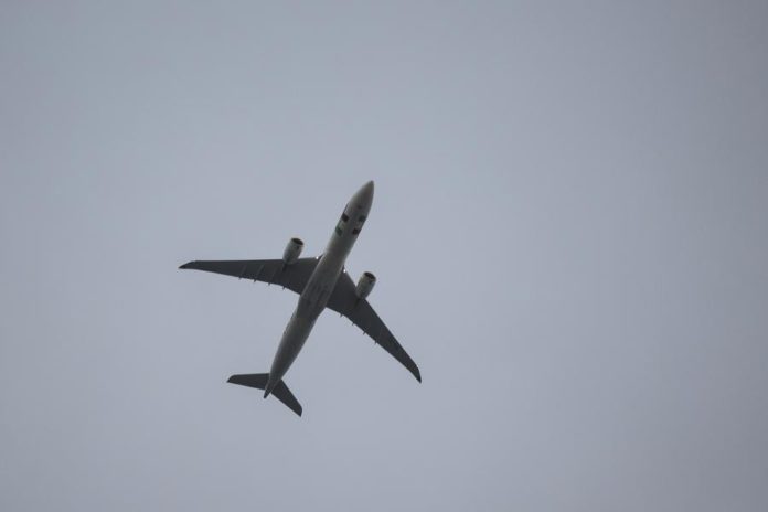 40149427.jpg