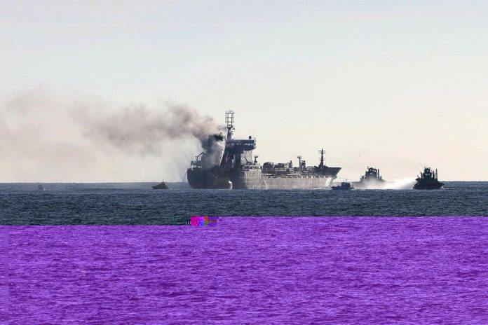 40501323.jpg