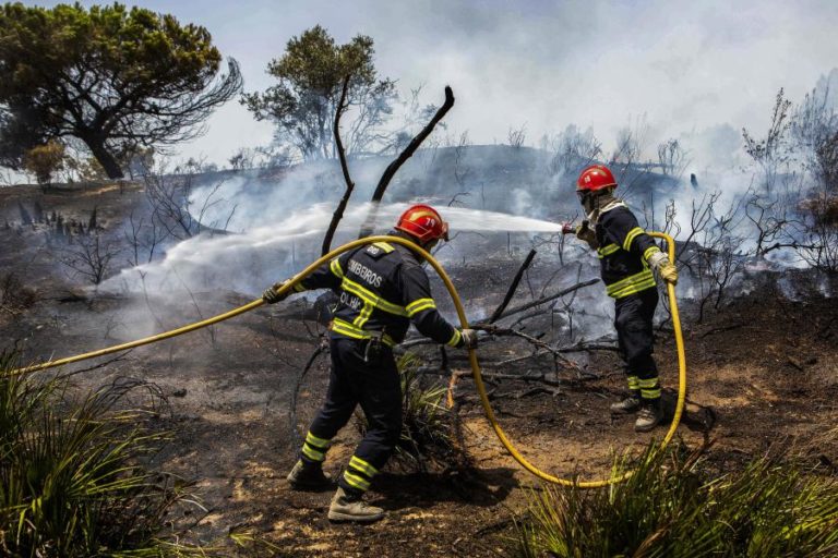 Três concelhos de Faro em perigo muito elevado de incêndio