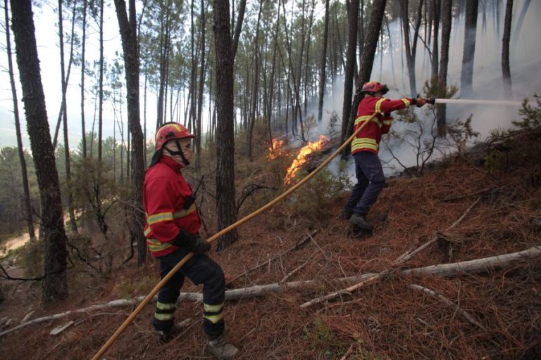 Incêndio no concelho da Covilhã entrou em fase de resolução