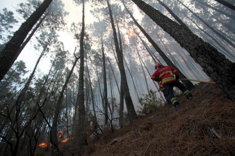 Dois concelhos de Faro e Castelo Branco em perigo máximo de incêndio
