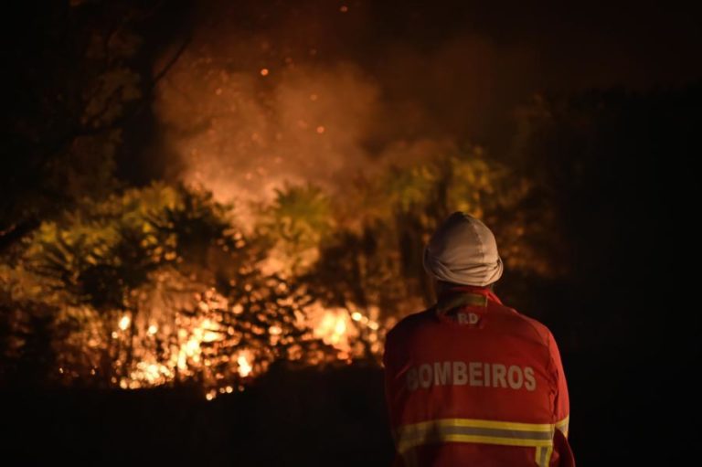Cinco concelhos de Faro em perigo máximo de incêndio