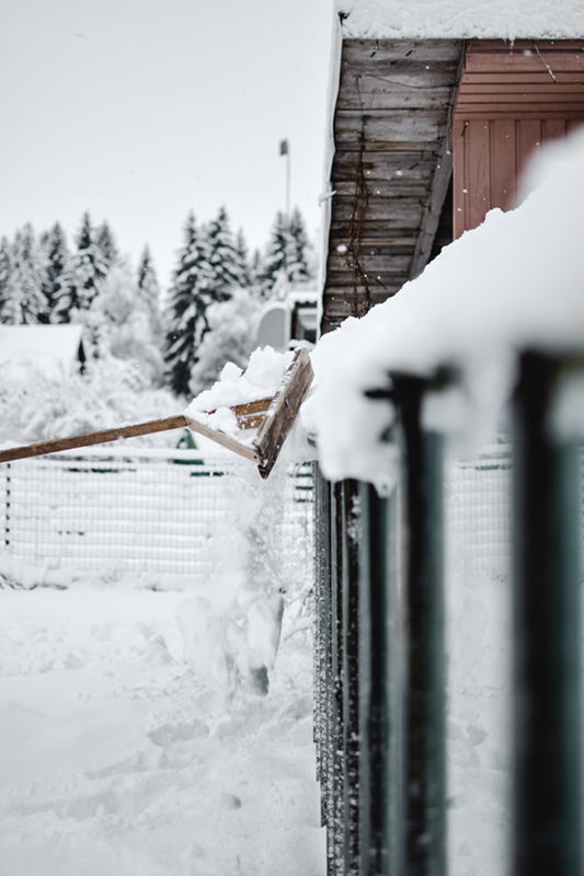 Foto: Pexels-EvaBronzini