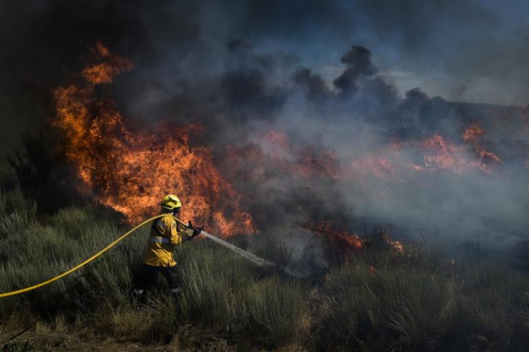 Dezanove concelhos de cinco distritos em perigo máximo de incêndio