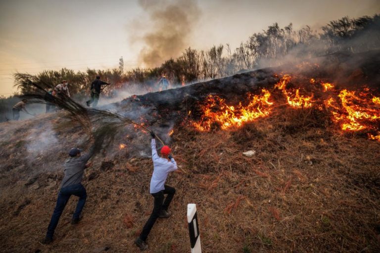 Catorze concelhos de três distritos em perigo máximo de incêndio
