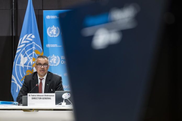 40583122.jpg