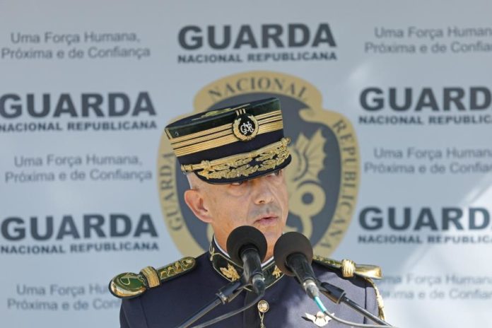 40756208.JPG