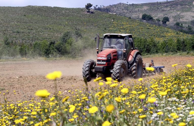 Agricultores submeteram mais de 140.000 candidaturas ao Pedido Único