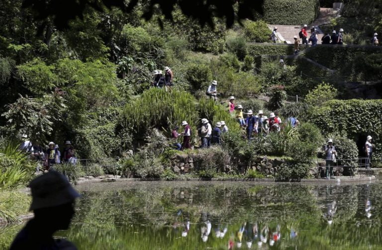 Serralves em Festa regressa ao Porto para 50 horas de programação gratuita