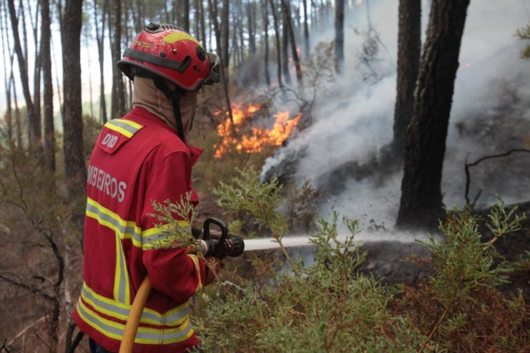 Vinte e um concelhos de cinco distritos em perigo máximo de incêndio