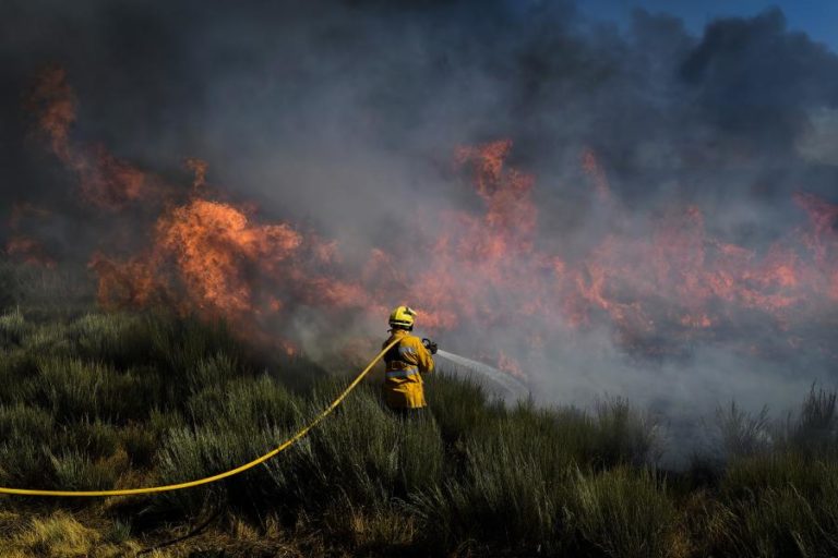 Sete concelhos do distrito de Faro em perigo muito elevado de incêndio