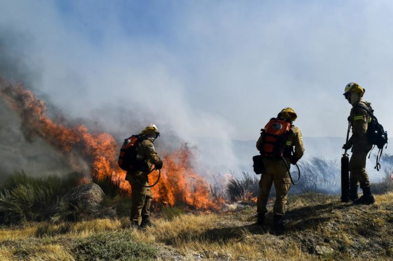 Vinte e um concelhos de quatro distritos em perigo máximo de incêndio