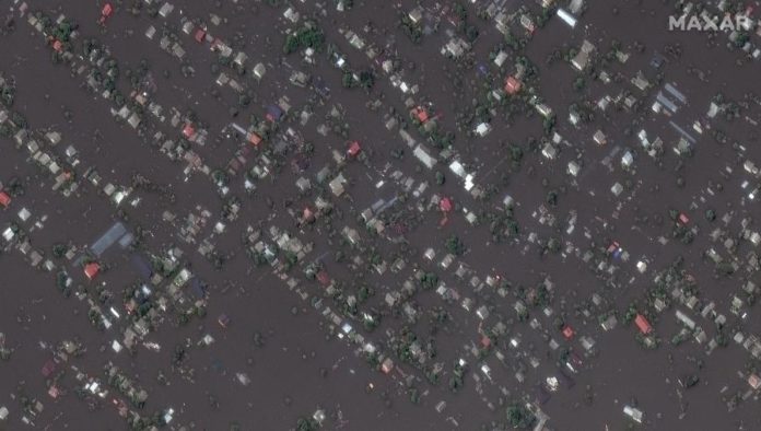 40965476.jpg