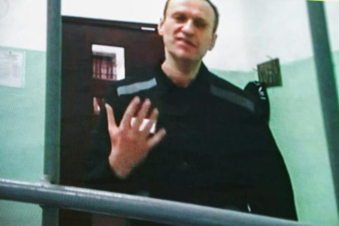 41076273.jpg