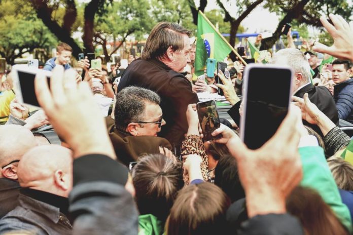 41079027.jpg