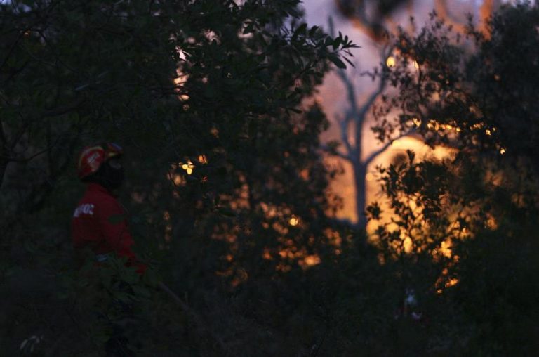 Concelhos de Tavira e São Brás de Alportel em Faro em perigo máximo de incêndio