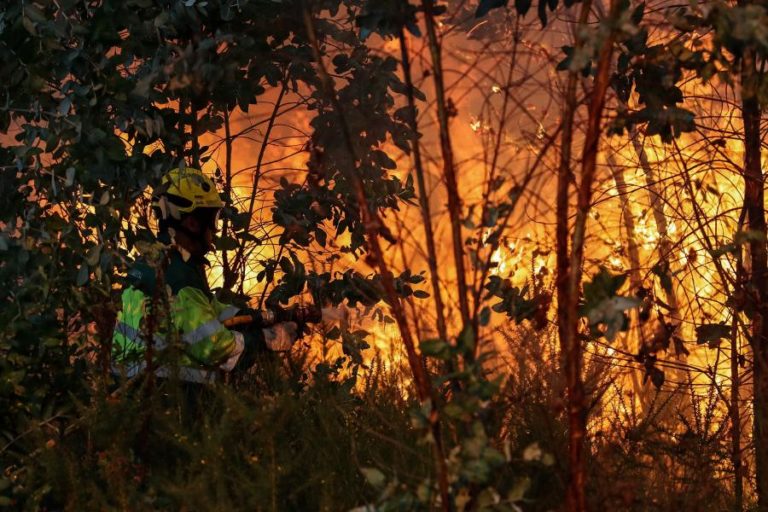 Cerca de 70 concelhos de oito distritos em perigo máximo de incêndio