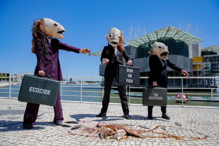 Ocean Rebellion alerta que “o mar está a morrer” e pede reunião com Governo