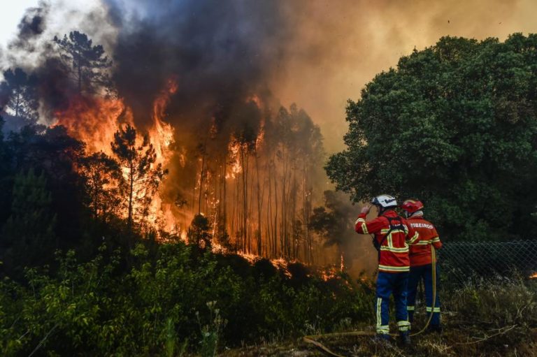 Mais de 30 concelhos de cinco distritos em perigo máximo de incêndio