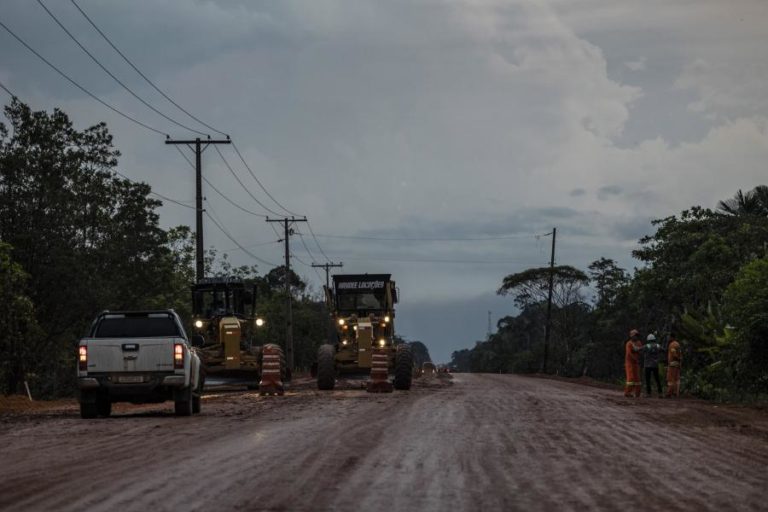 Desmatamento na Amazónia brasileira caiu 33,6% no primeiro semestre de Lula 