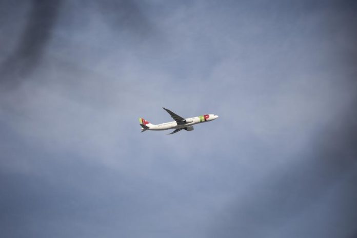 40540394.jpg